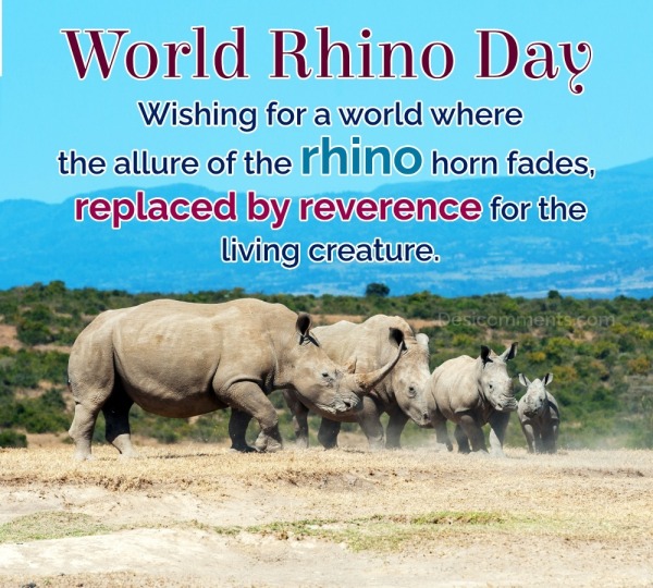Wishing for a world where the allure of the rhino