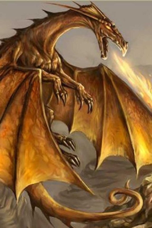 Dragon Wings And Bats Pic