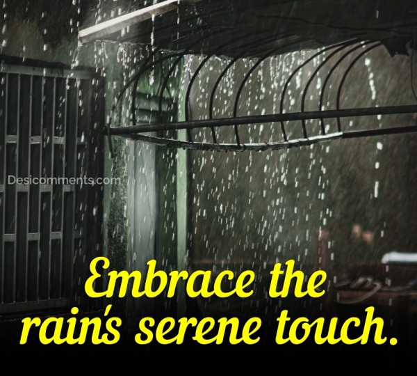 Embrace The Rain's Serene Touch