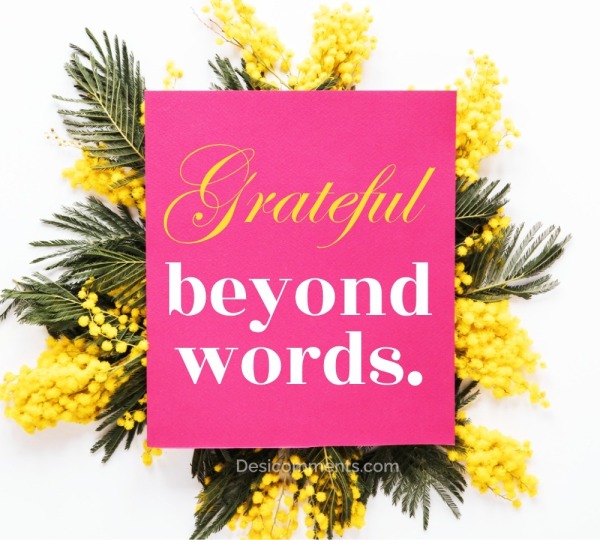 Grateful Beyond Words