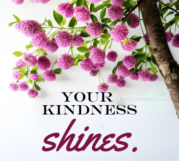Your Kindness Shines