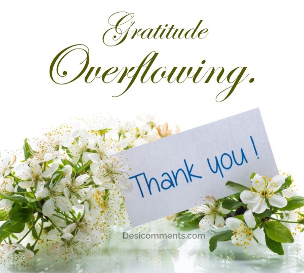 Gratitude Overflowing