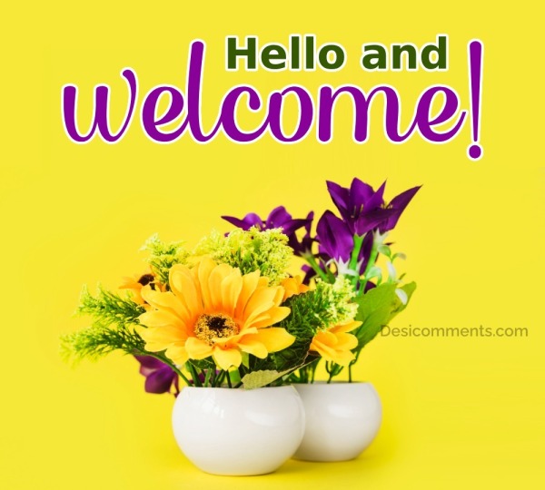 Hello And Welcome