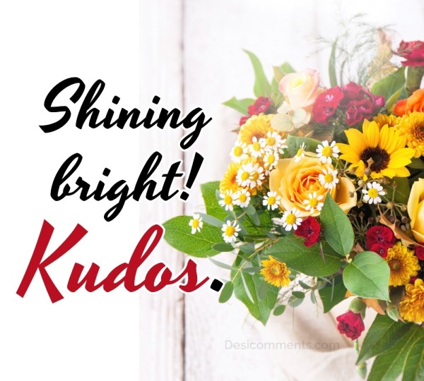 Shining Bright! Kudos