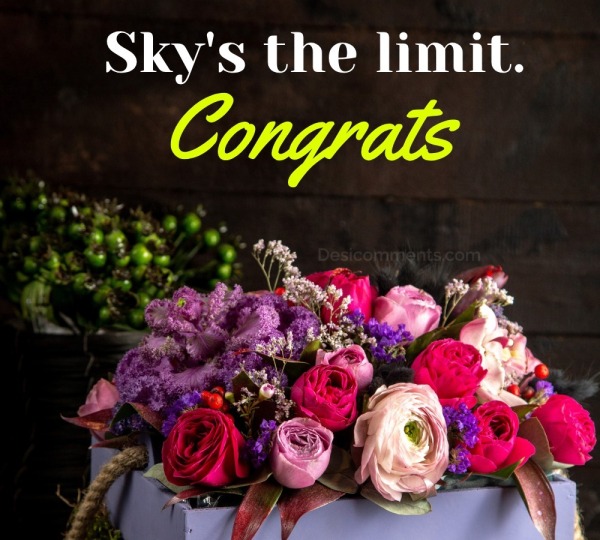 Sky’s The Limit. Congrats