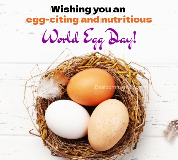 Wishing You An Egg-citing And Nutritious