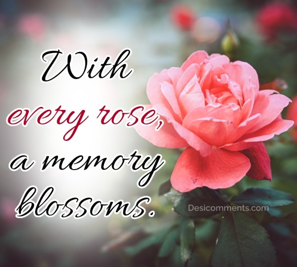 With Every Rose, A Memory Blossoms