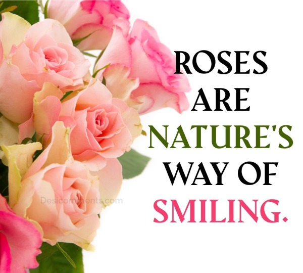 Roses Are Nature’s Way Of Smiling