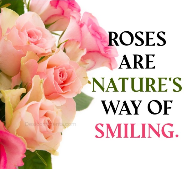 Roses Are Nature's Way Of Smiling