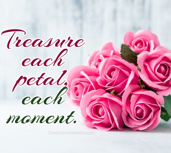 Treasure Each Petal, Each Moment