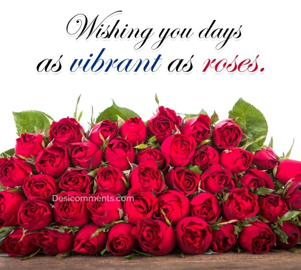 Wishing You Days As Vibrant As Roses
