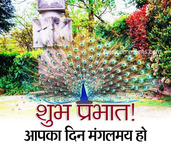 Good Morning Hindi Wish Pic