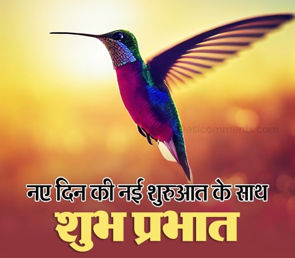 Good Morning Hindi Wish Picture