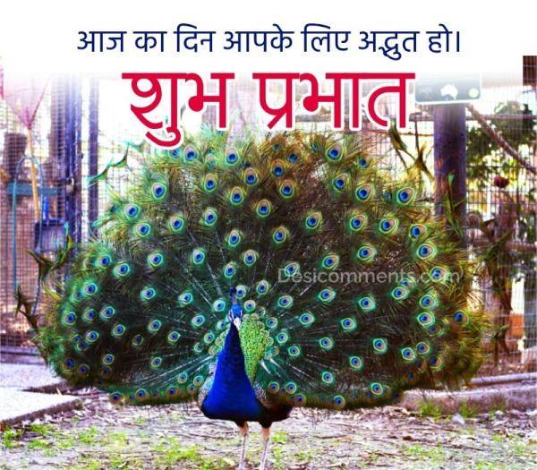 Good Morning Hindi Greeting Image