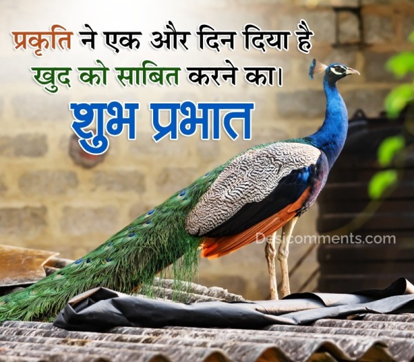 Wonderful Good Morning Hindi Wish