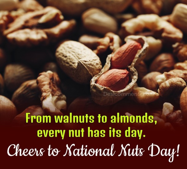 From Walnuts To Almonds