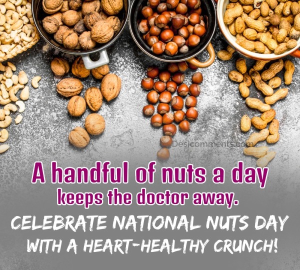 A Handful Of Nuts A Day