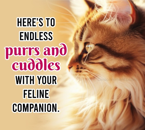 Here's To Endless Purrs And Cuddles