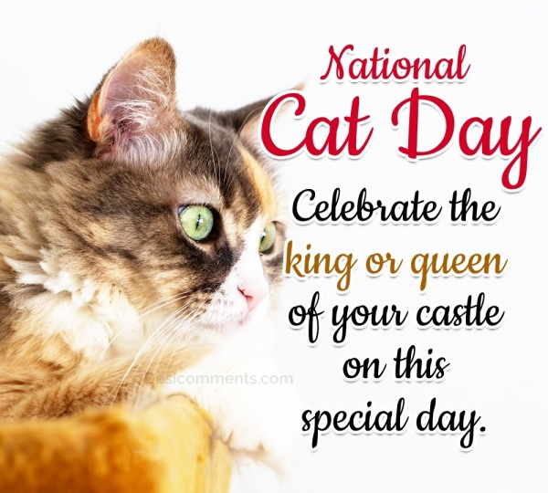 Celebrate The King Or Queen Of Your Castle