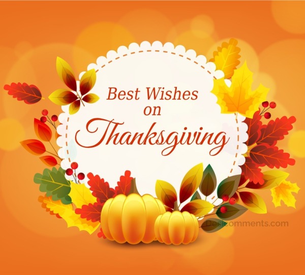 Best Wishes On ThanksGiving Day