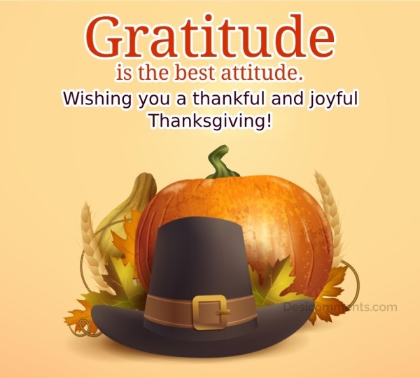 Gratitude is the best attitude