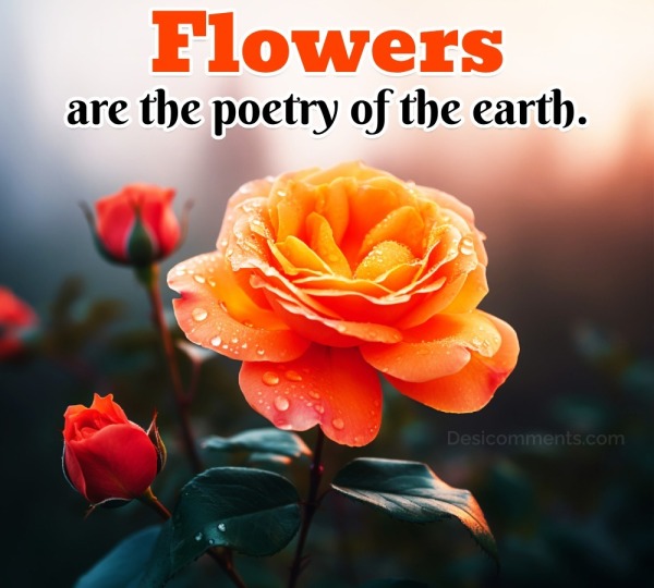 Flowers are the poetry of the earth