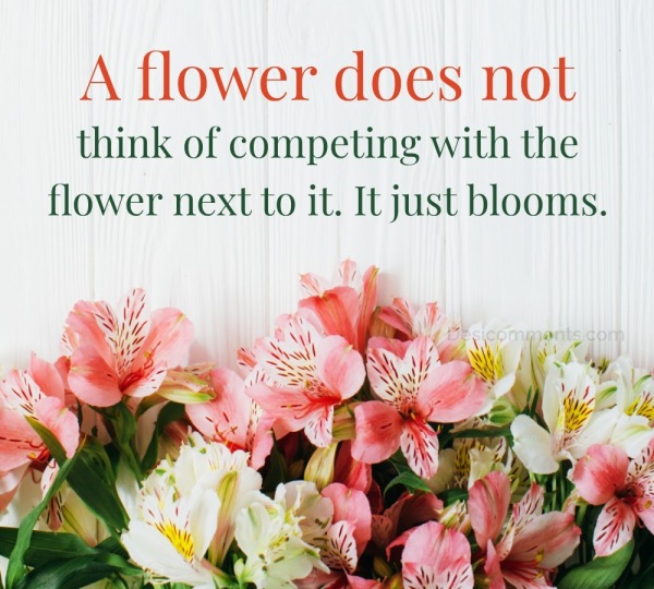 A Flower Does Not Think Of Competing