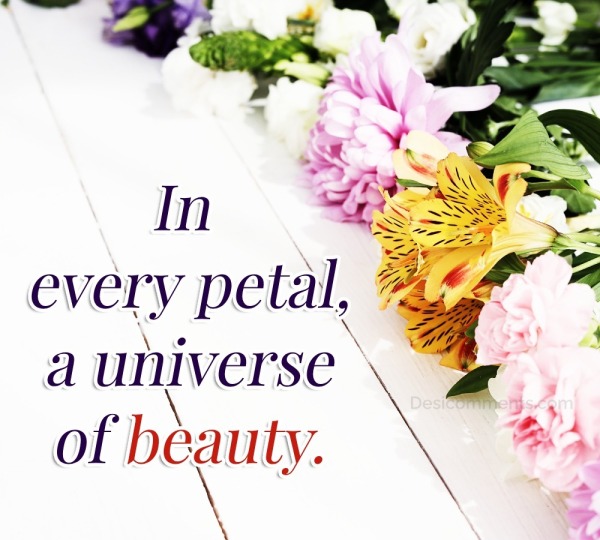 In Every Petal, A Universe Of Beauty
