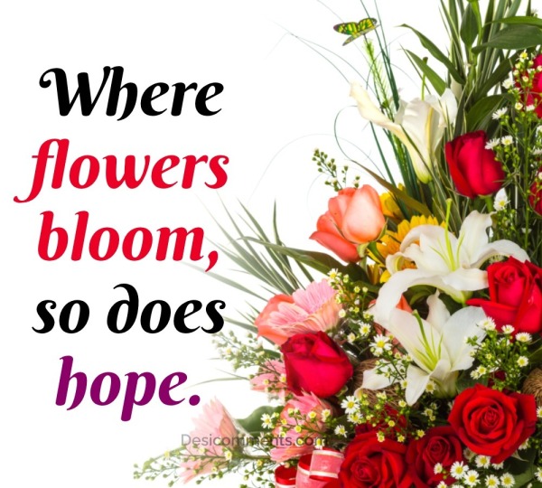 Where flowers bloom, so does hope