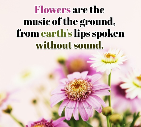 Flowers are the music of the ground