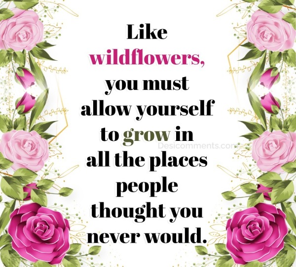 Like Wildflowers, You Must Allow Yourself