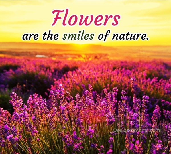 Flowers Are The Smiles Of Nature