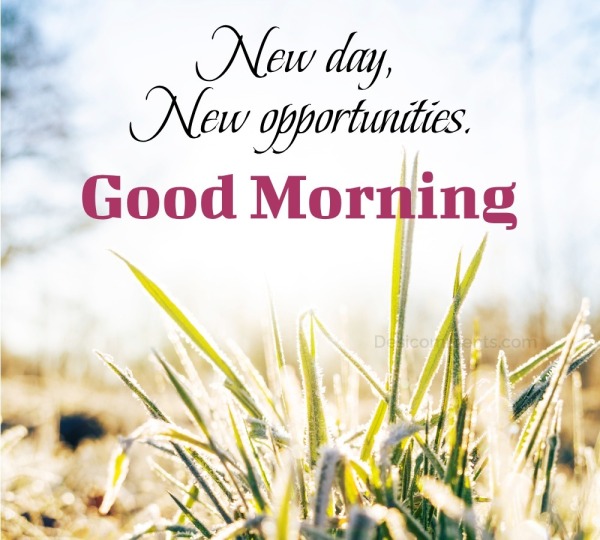New Day, New Opportunities