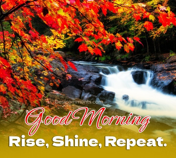 Good Morning Rise, Shine, Repeat