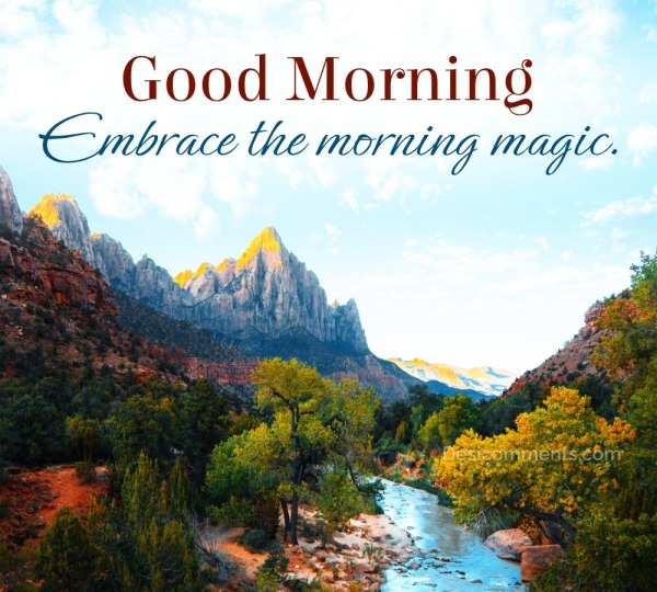 Embrace The Morning Magic with Good Morning Wishes