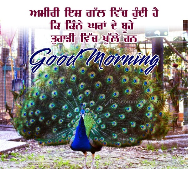 Beautiful Good Morning Punjabi Photo