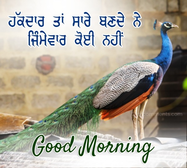 Beautiful Good Morning Punjabi Photo