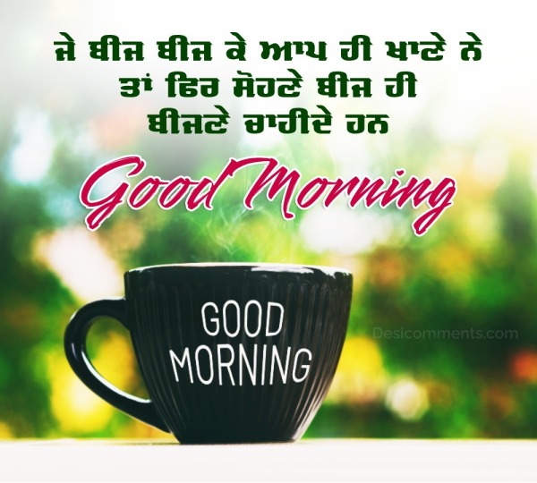 Beautiful Punjabi Good Morning Message Picture