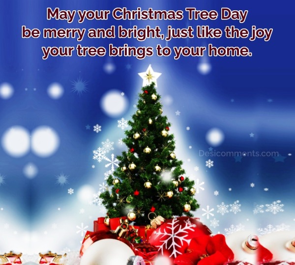 May Your Christmas Tree Day Be Merry