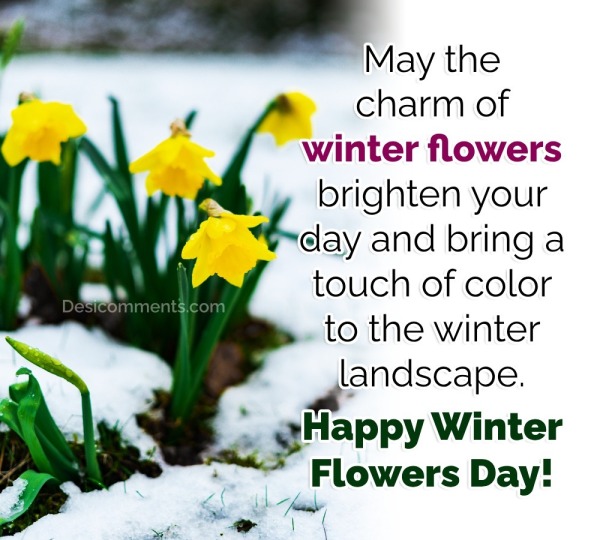 Happy Winter Flowers Day