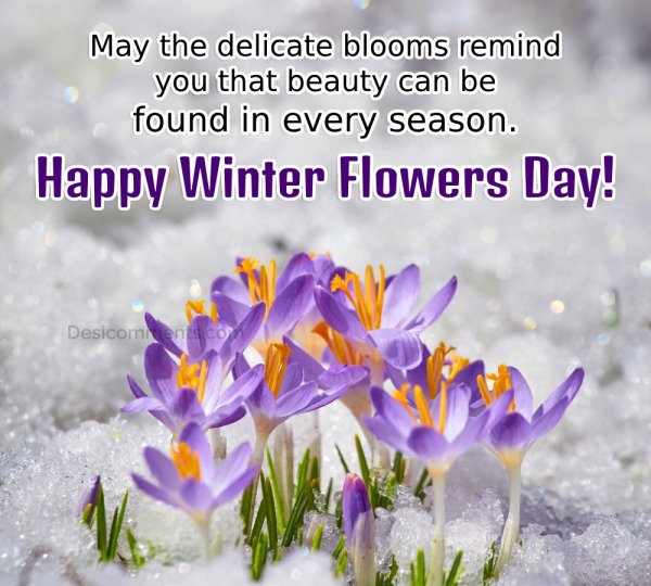 Happy Winter Flowers Day Image