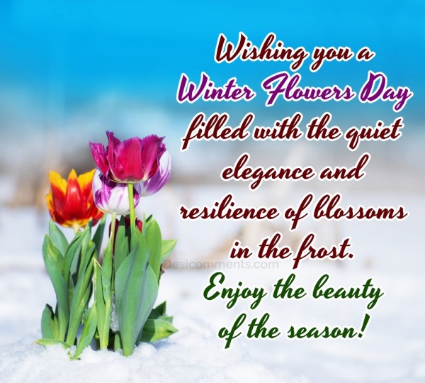 Wishing You A Winter Flowers Day Pic