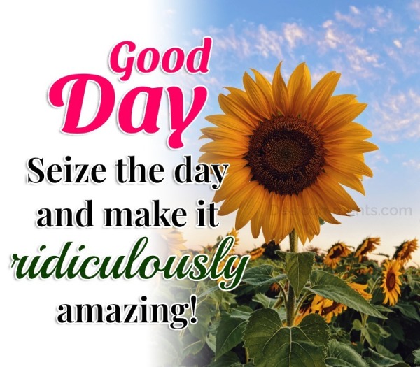Good Seize the day and make it