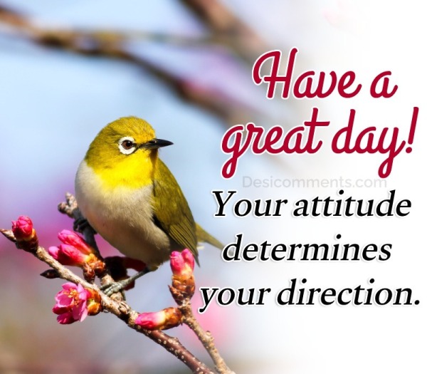 “Your Attitude Determines Your Direction.”