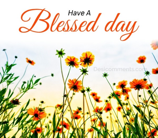Have a Blessed day