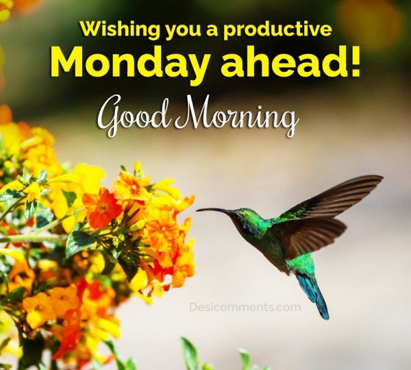 “Wishing You A Productive Monday Ahead!”