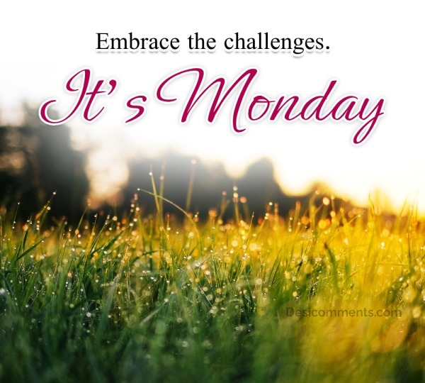 Embrace the challenges It’s Monday