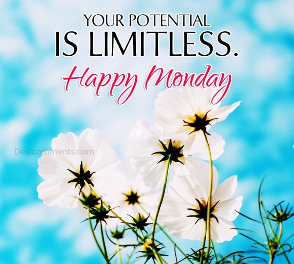 “Happy Monday! Your Potential Is Limitless.”