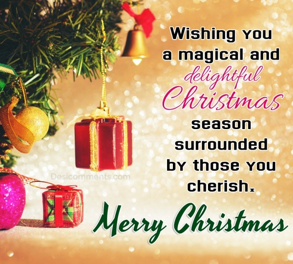 “Wishing You A Magical And Delightful Christmas”