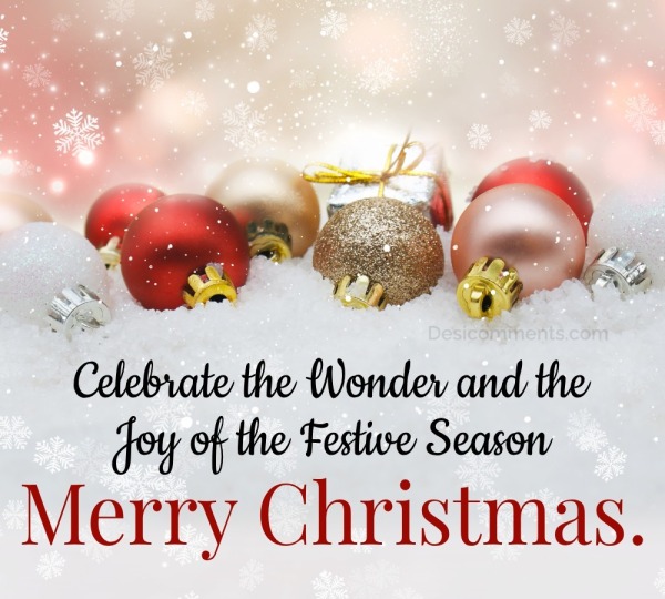 Celebrate The Wonder And The Joy - DesiComments.com